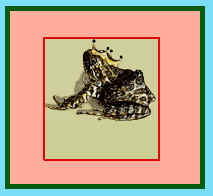  This is here because Ailene's favorite new animal is FROGS!  (Sat. July 13, 2002.)  